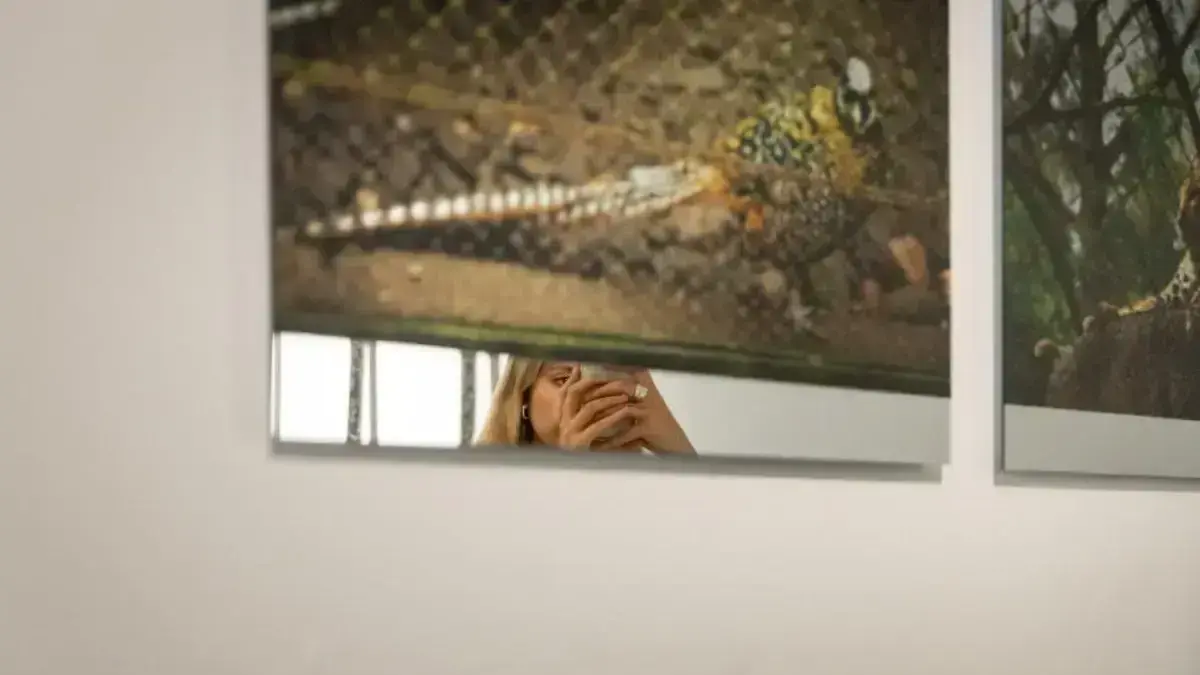 La mostra ‘Verse expuest_’ al CCCC amb Rocío Garriga i informació sobre zoos bombardejats a la II Guerra Mundial