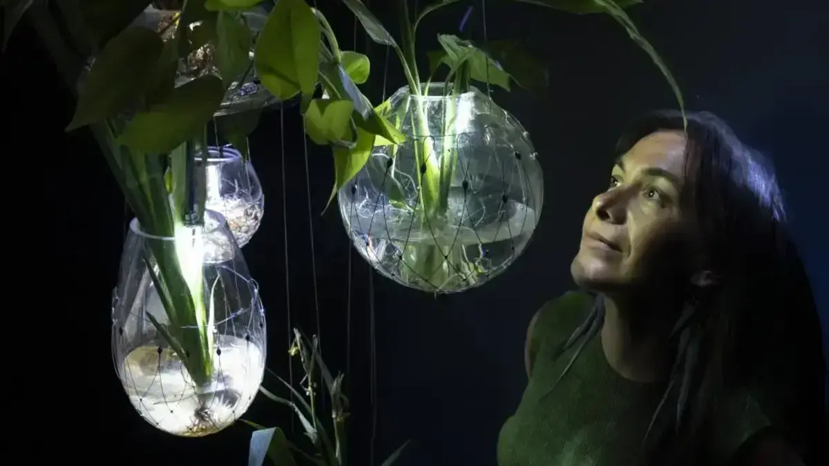 Persones assistents en una acció sonora al voltant de la instal·lació immersiva 'Radix' al IVAM