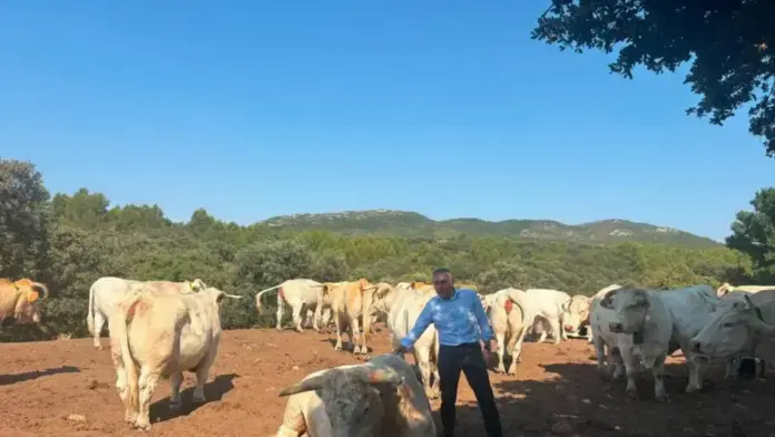 Miguel Barrachina impulsa el vallado virtual en la ganadería extensiva Miguel Barrachina observa un entorn de ramaderia mentre s’hi aplica un sistema de vallat virtual.