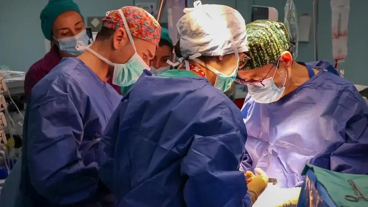 Professional en un centre hospitalari de La Fe durant un procés de trasplantament renal