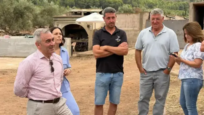 Barrachina reivindica la ramaderia extensiva com a mesura per a prevenir incendis forestals