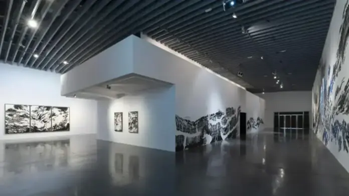Espai d’Art Contemporani de Castelló amb exposició d’Abdelkader Benchamma