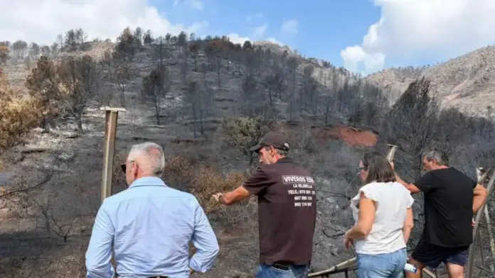 Ajudes del Consell per compensar danys al sector agrari després de l’incendi a la Vall d’Uixó