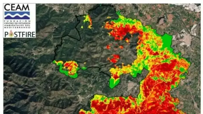 Anàlisi de l’impacte ecològic de l’incendi de La Vall d’Uixó Equip del Centre d’Estudis Ambientals del Mediterrani revisant l’impacte d’un incendi a La Vall d’Uixó