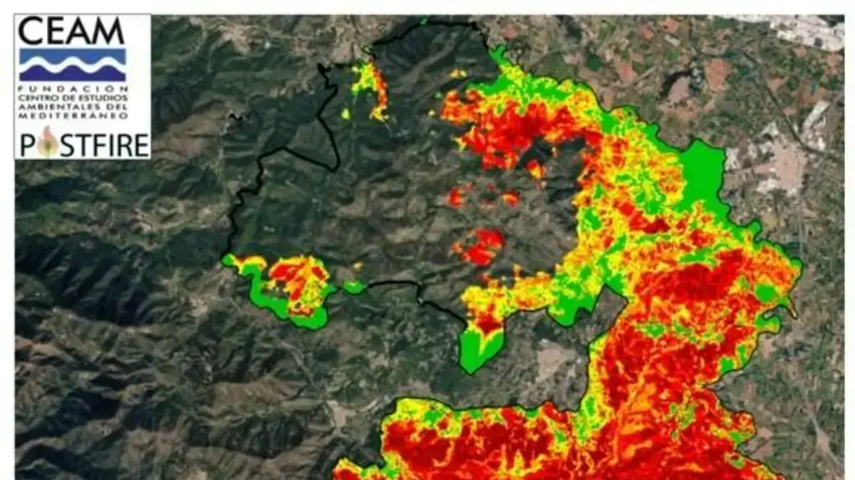 Equip del Centre d’Estudis Ambientals del Mediterrani revisant l’impacte d’un incendi a La Vall d’Uixó