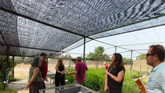 Treballs de restauració ecològica amb espècies autòctones per a recuperar barrancs i vegetació.