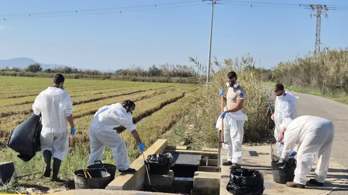 Brigades de la Generalitat treballant en tasques de conservació i manteniment a l’Albufera