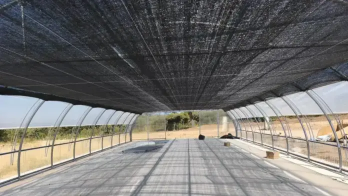 Viver de La Yesa amb infraestructures noves per a la producció de planta autòctona per a restauració forestal.