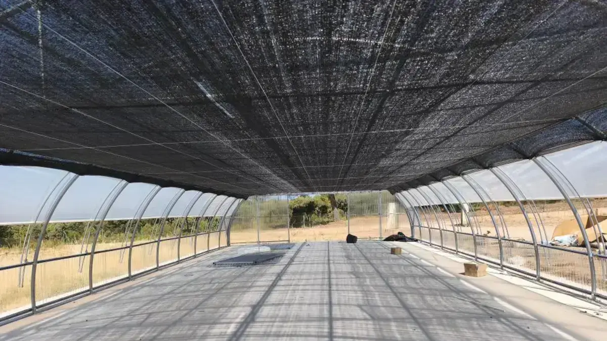 Viver de La Yesa amb infraestructures noves per a la producció de planta autòctona per a restauració forestal.