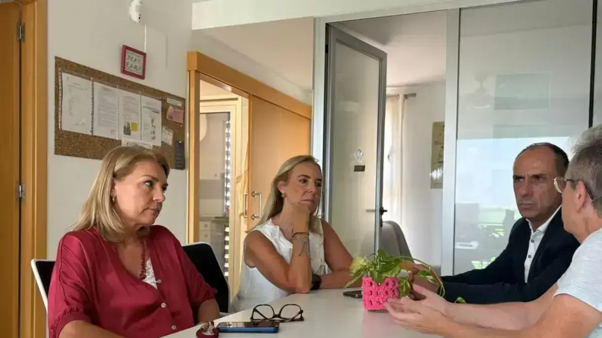 Camarero durant la compareixença sobre el compromís del Consell contra la violència que pateixen les dones