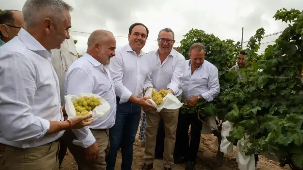 Pérez Llorca anuncia ajudes per incorporar joves agricultors al camp valencià.