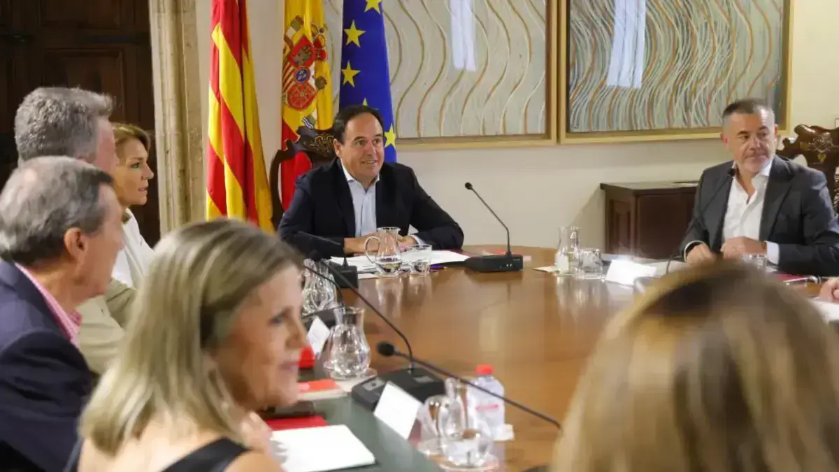 Pérez Llorca presideix el Ple del Consell