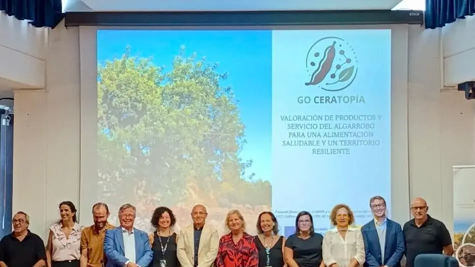 Branques d’algarrobier amb fulles, simbolitzant el suport al seu cultiu per la baixa necessitat de reg.