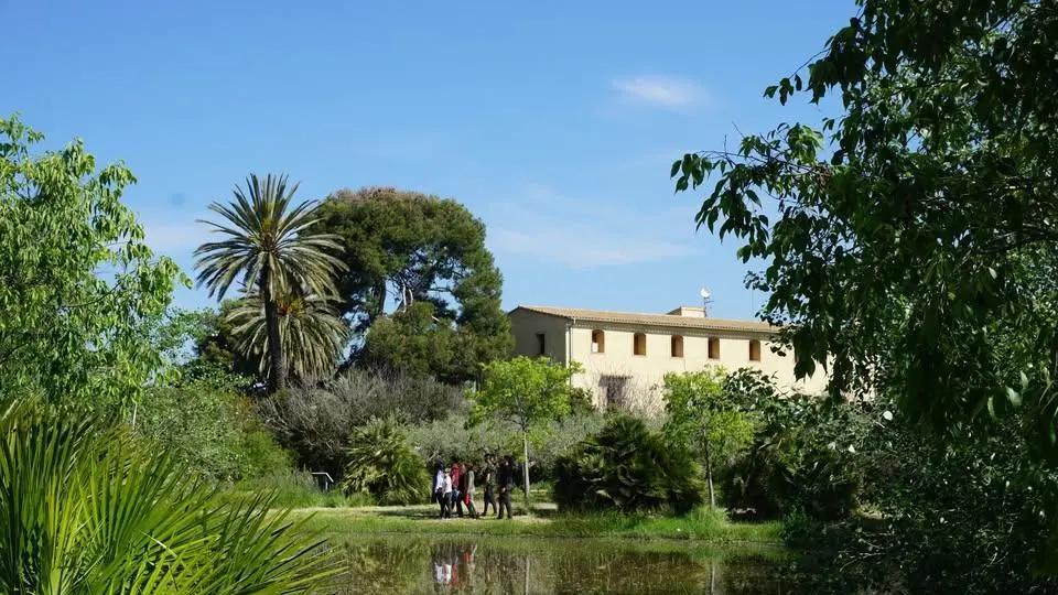 Persona davant d’un cartell informatiu sobre cursos gratuïts relacionats amb residus i patrimoni ambiental valencià