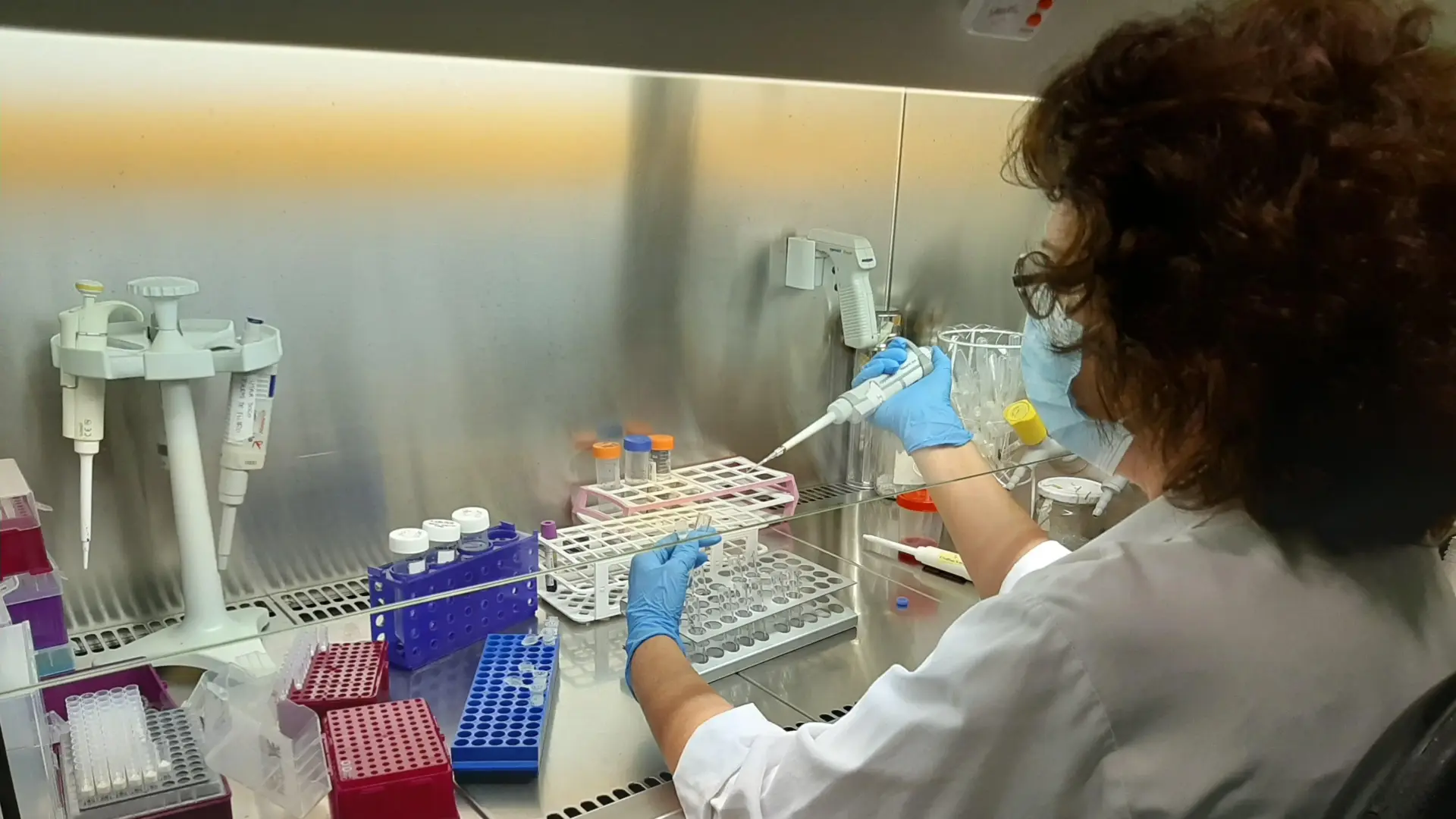 Investigació sanitària sobre el càncer, amb personal i recursos de laboratori.