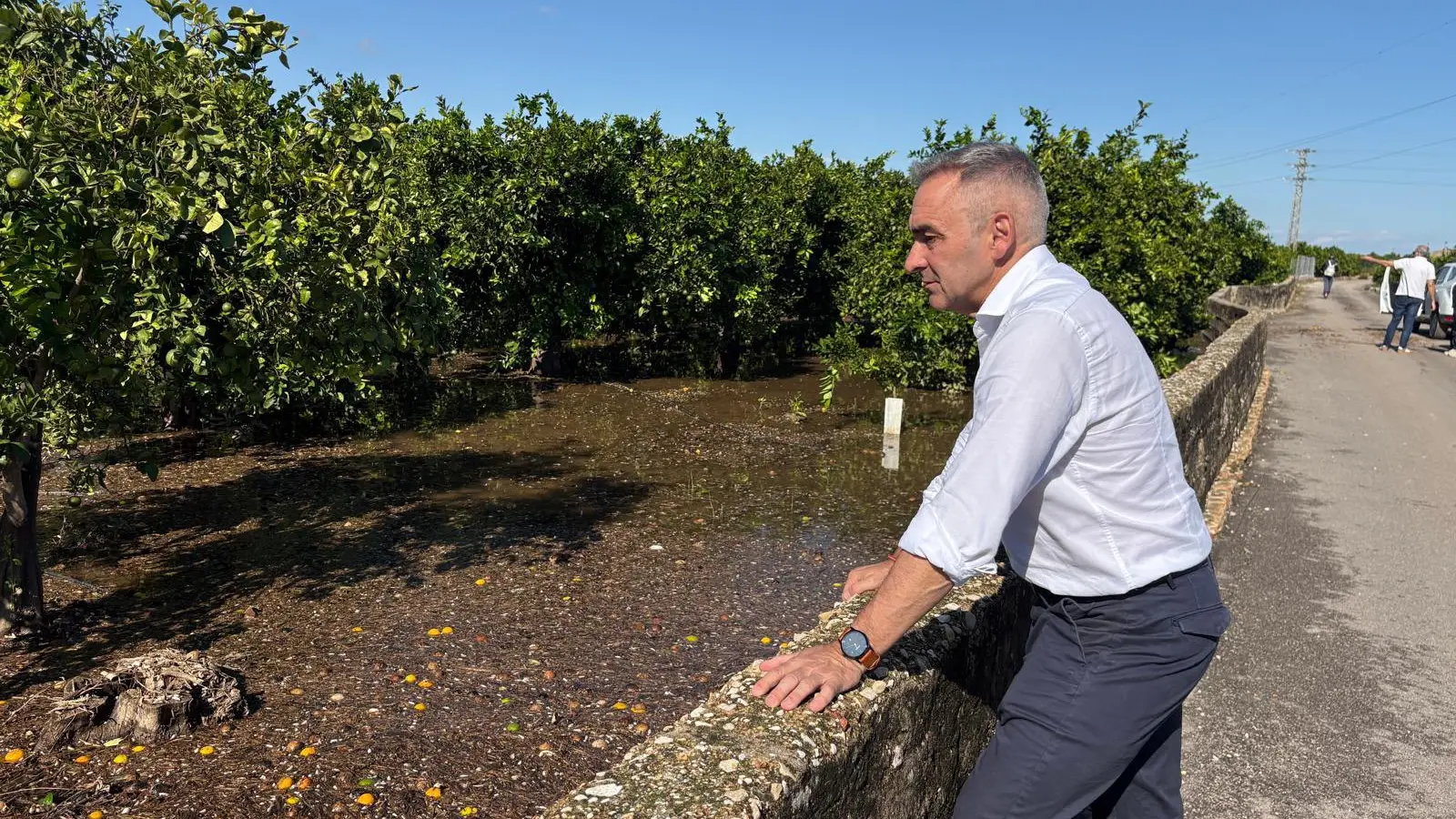 Tractaments fitosanitaris per a protegir més d’un milió d’arbres en una zona afectada per la Dana Adam