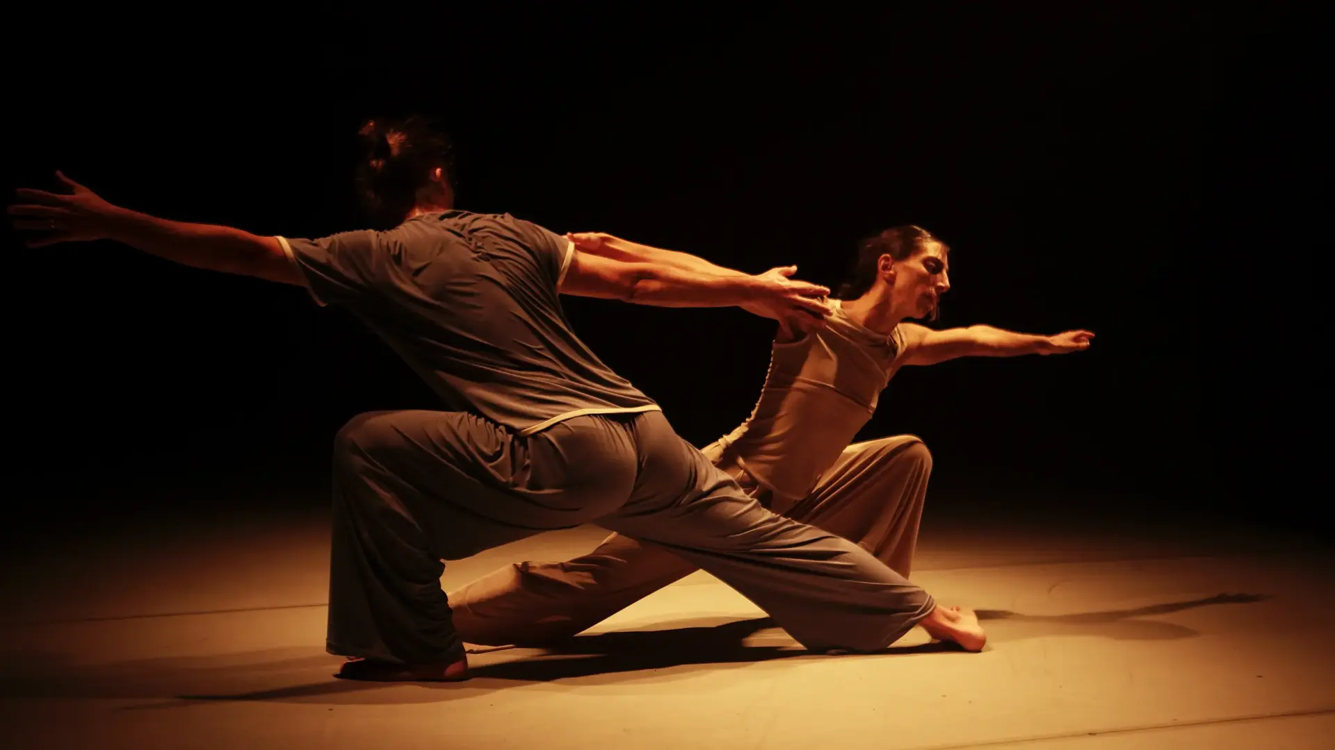 Dos intèrprets ballen junts en un espectacle de dansa.